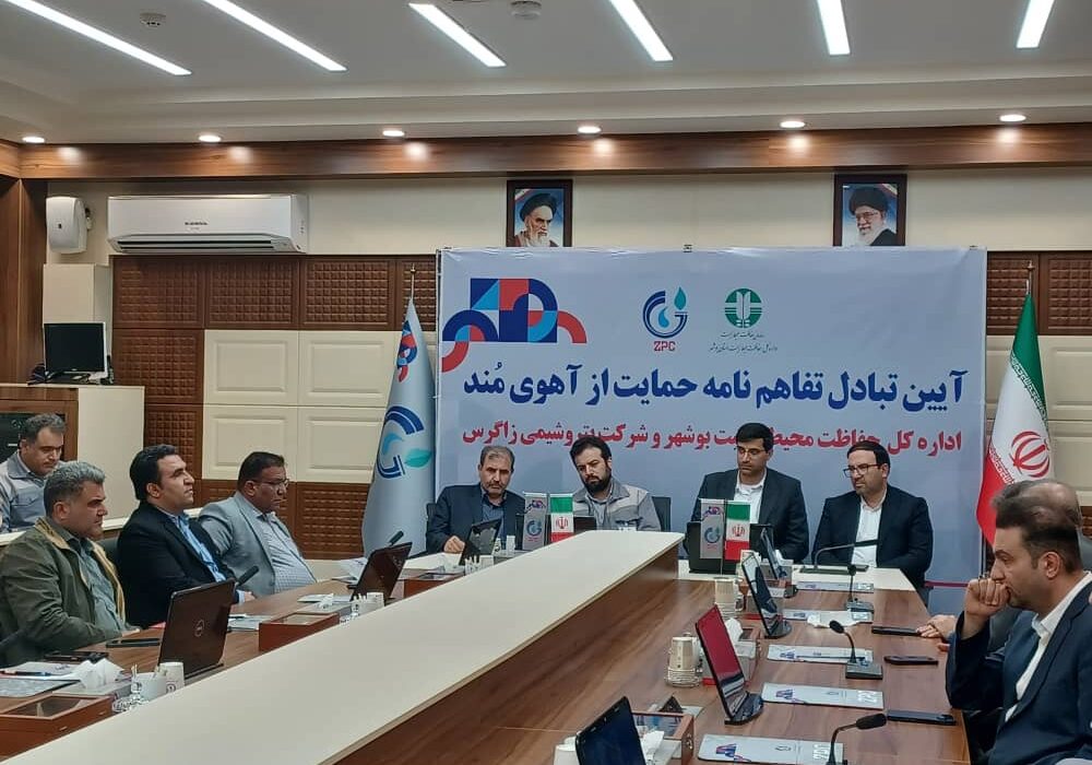 همکاری محیط زیست بوشهر و پتروشیمی زاگرس برای حفاظت از آهوی منطقه مُند بردخون