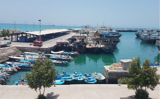 قاضی جوان دادسرای انقلاب دیر در خط مقدم صیانت از ایمنی اسکله شیلات؛ انتقال فوری شناورهای مازاد به دستور محمدرضا حیدری