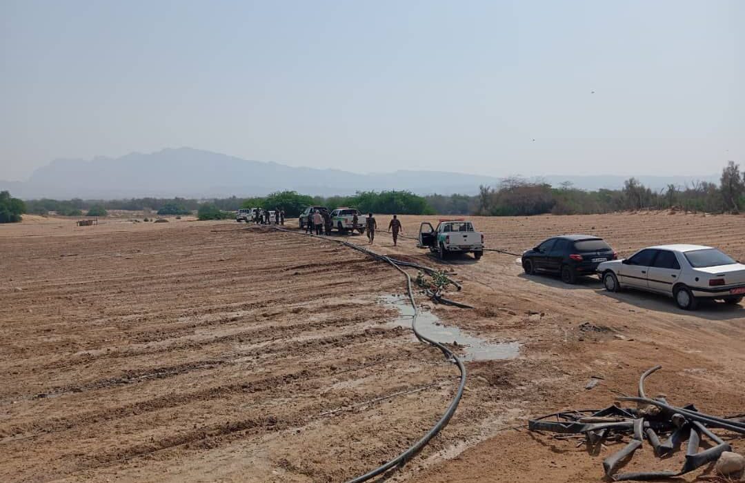 قطع بیش از ۱۲۰ اصله درخت کهنسال و تصرف اراضی ملی