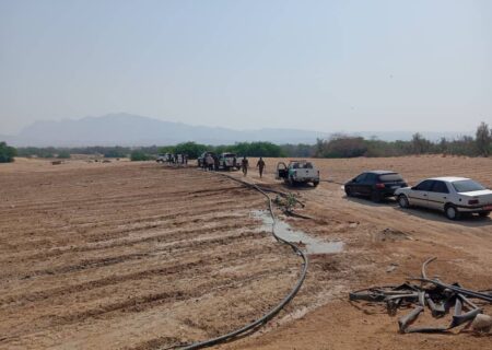 قطع بیش از ۱۲۰ اصله درخت کهنسال و تصرف اراضی ملی