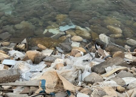 پر شدن اسکله شهرداری دیّر با نخاله‌های ساختمانی و زباله؛ زنگ خطر برای محیط‌زیست ساحلی