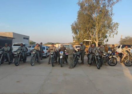 سرشماری آهوهای شنی در منطقه حفاظت‌شده مند بردخون آغاز شد