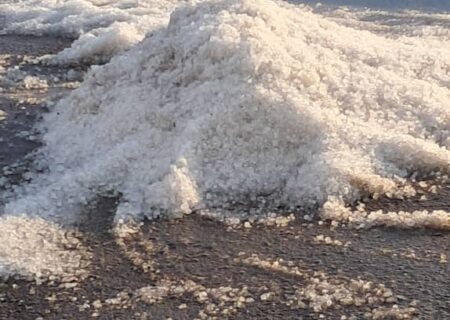 تگرگ بامدادی به برخی مزارع گوجه‌فرنگی بردخون خسارت زد