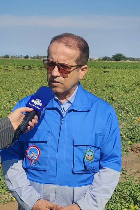 مجموع بارش دو سامانه اخیر در شهرستان دیر به ۱۱۱ میلی‌متر رسید