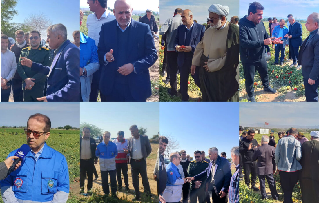 از پایتخت تا مزارع بردخون؛ حضور دکتر موسی احمدی و معاون وزیر در کنار کشاورزان خسارت‌دیده