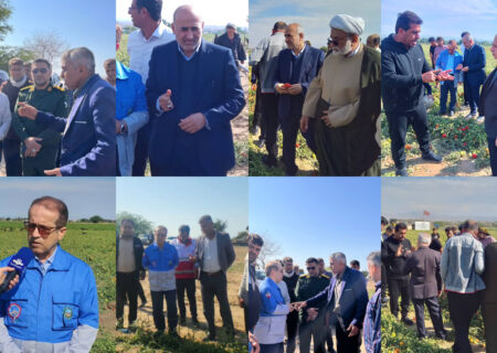 از پایتخت تا مزارع بردخون؛ حضور دکتر موسی احمدی و معاون وزیر در کنار کشاورزان خسارت‌دیده