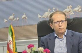 ۲۴۷ داوطلب در رقابت برای شوراهای شهر و روستای دیر / انتخابات ۱۱ اردیبهشت کاملاً الکترونیکی برگزار می‌شود