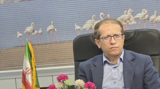 ۲۴۷ داوطلب در رقابت برای شوراهای شهر و روستای دیر / انتخابات ۱۱ اردیبهشت کاملاً الکترونیکی برگزار می‌شود